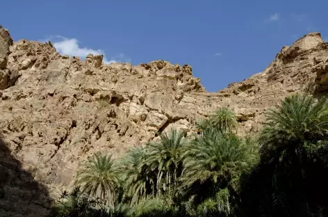 Marche dans le Wadi Gweir  - Jordanie