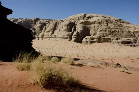 Désert du Wadi Rum - Jordanie