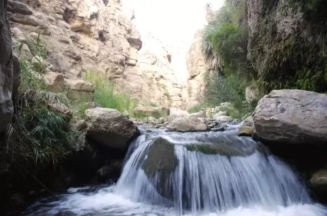 Marche aquatique dans le Wadi Al-Hasa - Jordanie