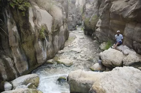 Marche aquatique dans le Wadi Al-Hasa - Jordanie