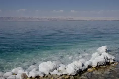 Concrétions de sel, Mer Morte - Jordanie