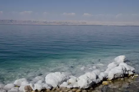 Mer Morte et ses concrétions de sel - Jordanie - 