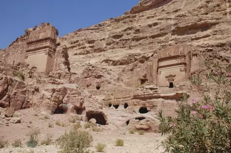 Nombreux tombeaux à Pétra - Jordanie