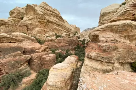 Réserva Naturelle de Dana - Jordanie - 