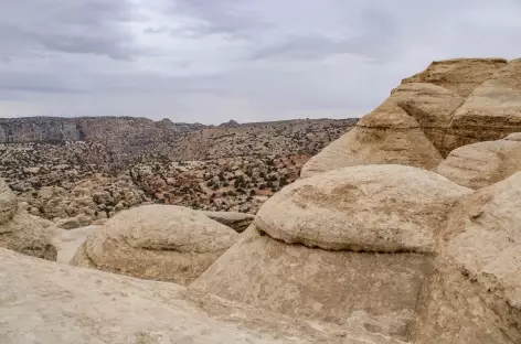 Réserve de Dana - Jordanie