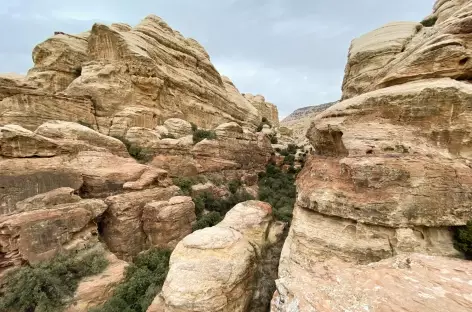 Randonnée sur le Shaq Al Reesh trail, réserve de Dana - Jordanie