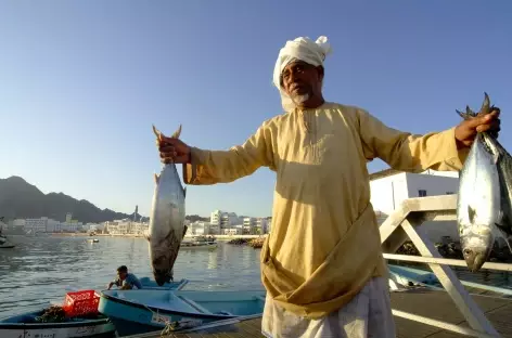 Retour de la pêche au port de Muttrah - Oman