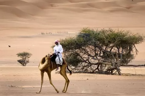 Désert du Wahiba - Oman