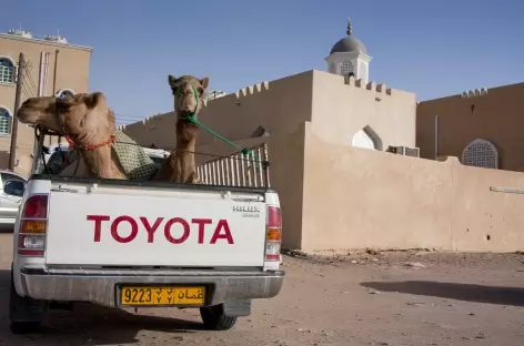 Aux portes du désert du Wahiba - Oman - 