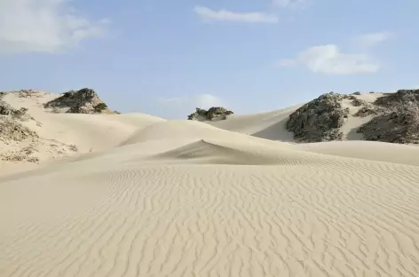 Désert blanc - Oman