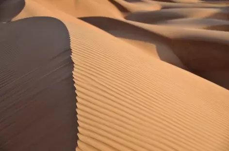 Dunes du Wahiba - Oman