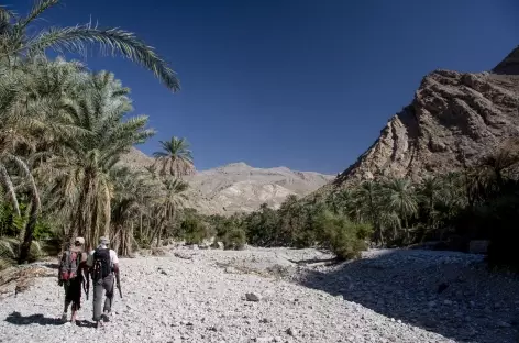 Marche dans le wadi Bani Khalid - Oman