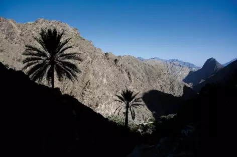 Dans les montagnes du Wadi Bani Awf - Oman