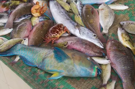 Marché aux poissons de Muttrah - Oman