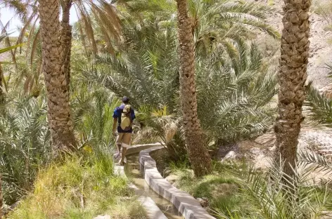 Marche sur un des nombreux falaj - Oman