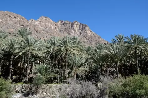 Wadi Bani Kharus - Oman