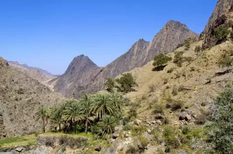 Montagnes du Hajjar Occidental - Oman