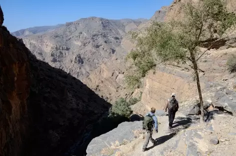 Trek vers la palmeraie de Masirat Al Jawamid, djebel Akhdar - Oman