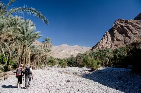 Rando dans le Wadi Bani Khalid - Oman