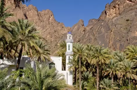 Mosquée et palmeraie dans le Wadi Bani Awf - OMan