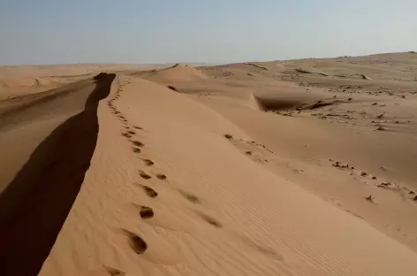 Rando dans les dunes du Wahiba - Oman