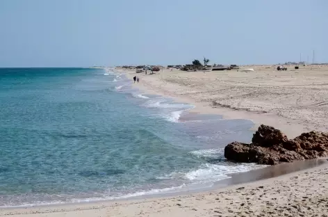 Plage sauvage de Ras Al Had - Oman