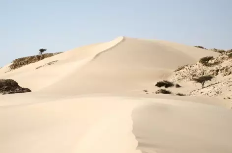 Désert Blanc - Oman