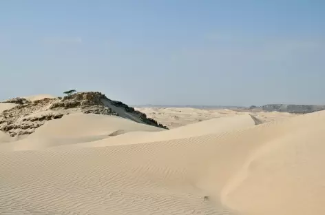 Désert Blanc - Oman