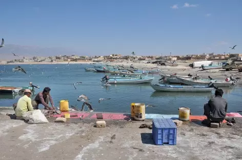 Village de pêcheurs de Mirbat - Oman