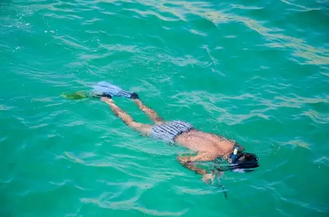 Snorkeling dans les fjords du Musandam - Oman