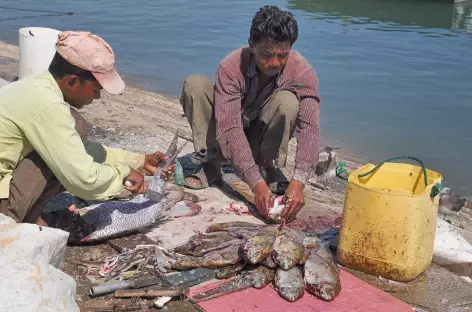 Village de pêcheurs de Mirbat - Oman