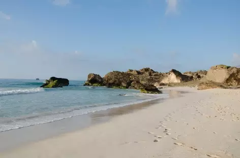 Plage de Mughsail, région du Dhofar - Oman