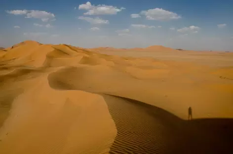 Dunes du Rub Al Khali - Oman