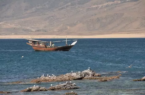 Littoral et boutre du Dhofar - Oman