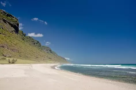 Plage magnifique de Dhlakut - Oman