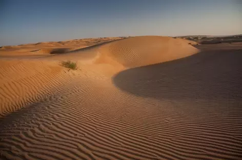 Désert du Wahiba - Oman