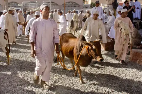 Marché au bestiaux de Nizwa - Oman
