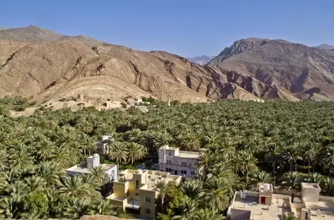 Belle palmeraie de Nizwa - Oman