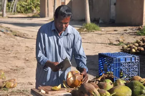 Vendeur de noix de coco à Salalah - Oman