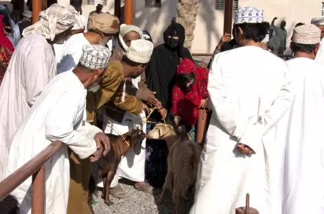 Marché du Vendredi à Nizwa - OMAN