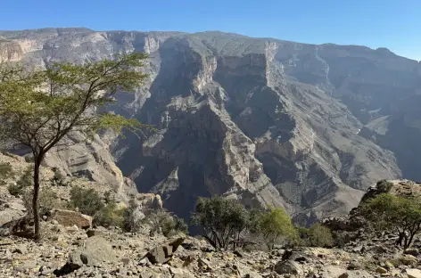 Grand Canyon d'Arabie - Oman