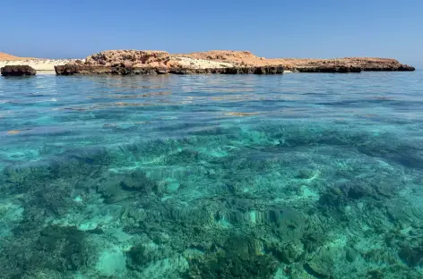 Iles Daymaniyat - Oman