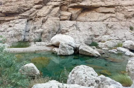 Wadi Al Arbeyeen - Oman