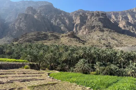 Wadi Bani Awf - Oman