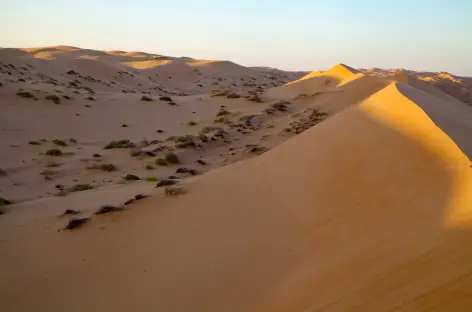 Désert du Wahiba - Oman