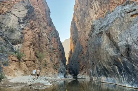Snake Canyon - Oman