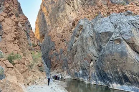 Snake Canyon - Oman