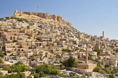 Belle ville de Mardin, aux maisons couleurs miel - Turquie