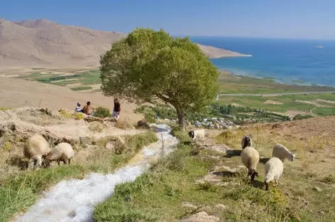 Sur les hauteurs du lac de Van, rive sud - Turquie