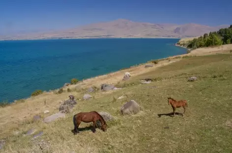 Rivages nord-est du lac de Van - Turquie